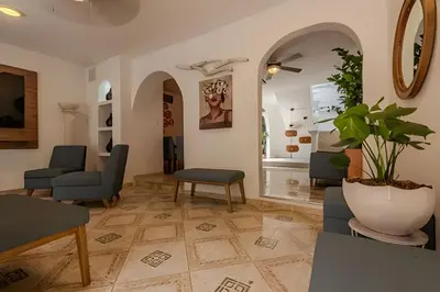 a living room with chairs and a potted plant at Casa Hibiscus - Joya en Getsemani in Cartagena de Indias