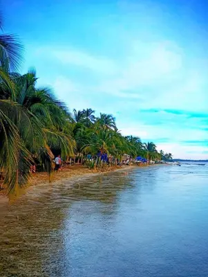 a beach with palm trees and the water at Apartamento con vista al mar in Simón Bolivar