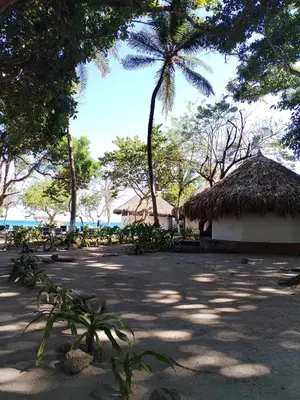a resort with a palm tree and a building at Ecohotel Nativa Beach in Cartagena de Indias