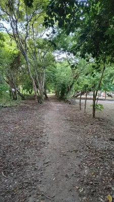 a dirt road with trees on the side of a road at Ecohotel Nativa Beach in Cartagena de Indias