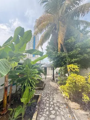 Gallery image of Cerca al centro, wifi 500mbs, privado para 3 personas in Cartagena de Indias