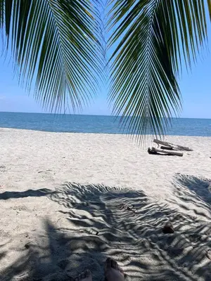 a beach with a palm tree and a boat on it at Apartamento cerca al mar santa Marta- santamarina-614 in Santa Marta