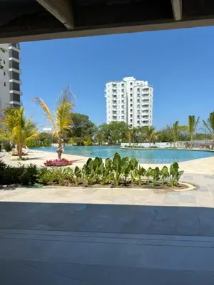 a group of birds sitting on a sidewalk near a body of water at Santa Marta apartamento frente al mar -Santamarina- 1202 in Santa Marta