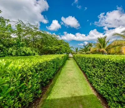 a hedge path through a field of grass at Morros Eco in Cartagena de Indias
