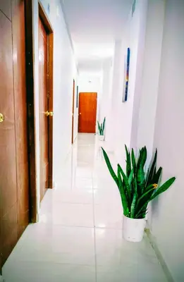 a hallway with a potted plant on the floor at Hospedaje Torices Cartagena in Cartagena de Indias