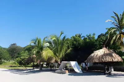 a beach with some straw umbrellas and palm trees at Apartamento de playa privada in Santa Marta