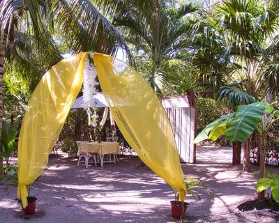 a yellow umbrella in a yard with palm trees at Coco Encantado Eco Hostal Camping in Cartagena de Indias