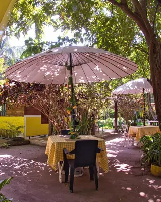 a table with an umbrella in a garden at Coco Encantado Eco Hostal Camping in Cartagena de Indias