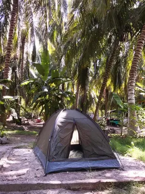 a tent sitting on the ground under palm trees at Coco Encantado Eco Hostal Camping in Cartagena de Indias