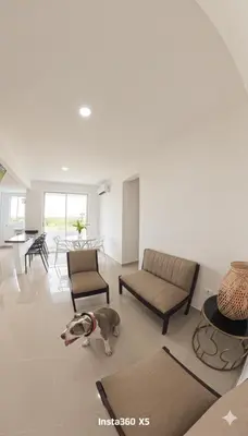a dog is standing in a living room at Amanecer Caribe 4503 in Coveñas