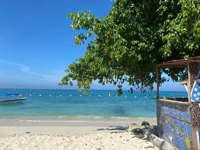 a beach with a tree and the water and a boat at Amora Beach Camping in Baru