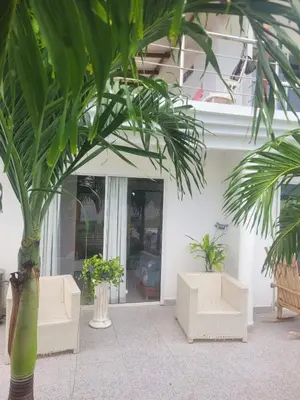 a building with two chairs and a palm tree at Hostal Casa Adela