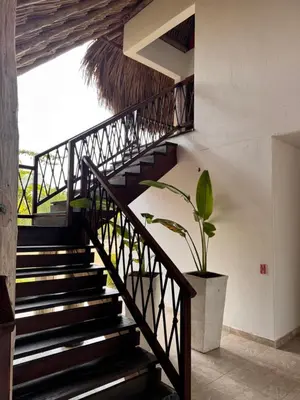 a staircase in a house with a potted plant at Hostal nido tortuga in San Antero