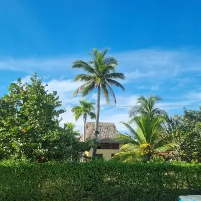 Hostal nido tortuga