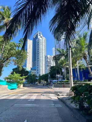 a city street with palm trees and tall buildings at White House in Cartagena de Indias