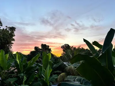 a sunset in a field with plants and trees at Casa finca platanales in Cartagena de Indias