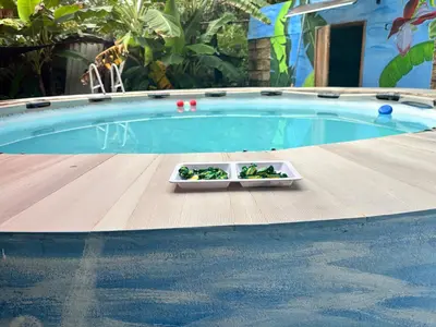 two bowls of vegetables are sitting on a table in a pool at Casa finca platanales in Cartagena de Indias