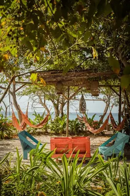 a group of chairs and hammocks on a beach at El Hamaquero Hostal EcoNativo in Isla Grande
