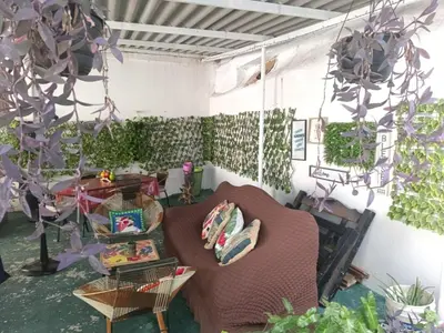 a living room with a couch and some plants at Hostal Mastcoy in Cartagena de Indias