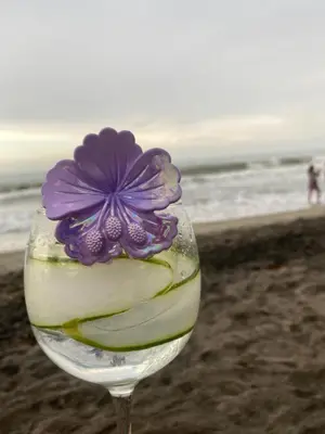 a wine glass with a flower in it on the beach at Guest bedrooms economy in Bocagrande Beach Cartagena in Cartagena de Indias
