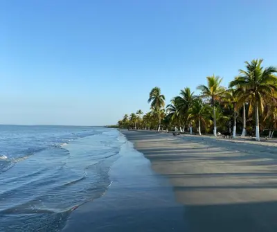 a beach with palm trees and the ocean at Casa Azure Playas del Francés in El Puertón