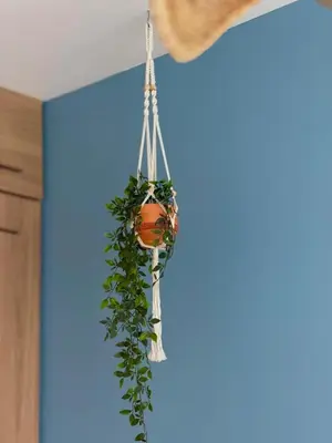 a potted plant hanging from a ceiling at Comfort and Lagoon View at Baia Kristal Cartagena in Los Arrayanes
