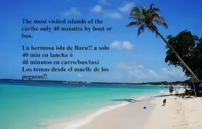 a picture of a beach with a palm tree at Apartasuit Resort CTG Beach con vista al mar- central 5 min aeropuerto in Cartagena de Indias