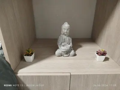 a statue sitting on a shelf with two potted plants at Ciudad Amurallada in Cartagena de Indias