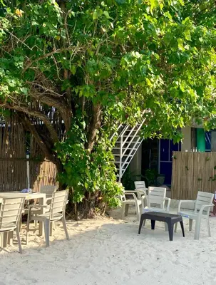 a group of tables and chairs under a tree at Apartamento frente al mar orilla beach house in Playa Punta Arena