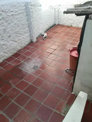 a dog sitting on a tiled floor in a room at Habitación con medio baño en el barrio ciudad jardín Barranquilla in Barranquilla
