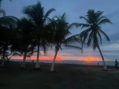 a group of palm trees on a beach at sunset at Mi refugio in Moñitos