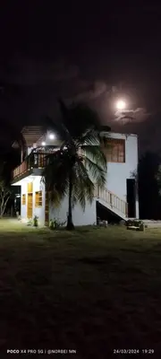 a palm tree in front of a house at night at Mi refugio in Moñitos