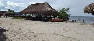 a beach with a straw umbrella and the ocean at Habitacion Ely Johana in Coveñas