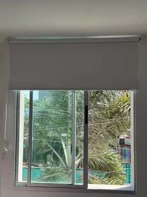 a window with a white window shade and a palm tree at Edificio cerca a la playa in Cartagena de Indias