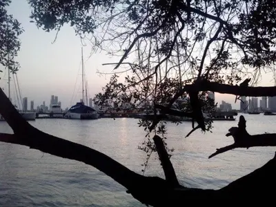a tree branch with a view of a river with boats at Apartamento en Cartagena Manga 3 Habitaciones - Bahia in Cartagena de Indias