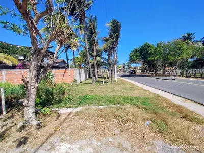 a street with palm trees on the side of a road at Apartamentos Puerto Colombia Atlántico-Sabanilla in Maizal
