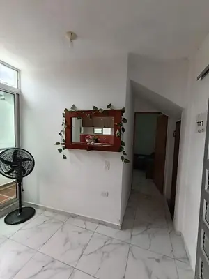 a room with a mirror and a plant on the wall at Apartamentos Puerto Colombia Atlántico-Sabanilla in Maizal