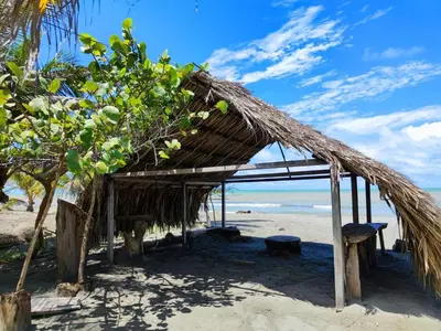 a straw hut on a beach with the ocean at Cabaña 8 personas frente al mar con deck privado in Moñitos
