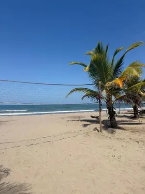 a couple of palm trees on a beach at Cabaña 8 personas frente al mar con deck privado in Moñitos