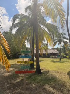 a street sign in front of a palm tree at Cabaña 8 personas frente al mar con deck privado in Moñitos