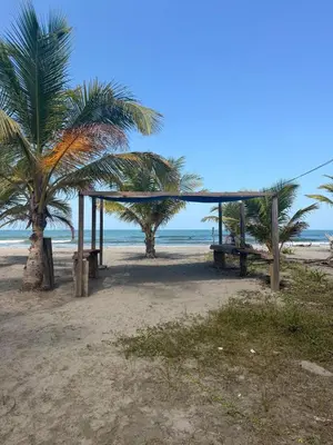 a picnic shelter on the beach with palm trees at Cabaña de playa 6 personas con cocina y kiosko privado in Moñitos