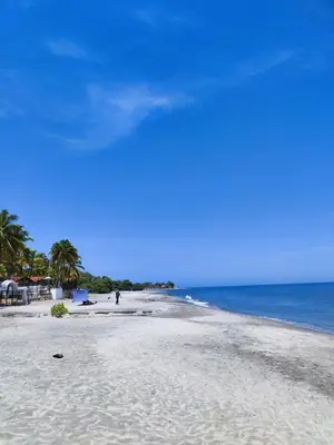 a sandy beach with palm trees and the ocean at Apartamento cerca a la playa y al aeropuerto in Santa Marta