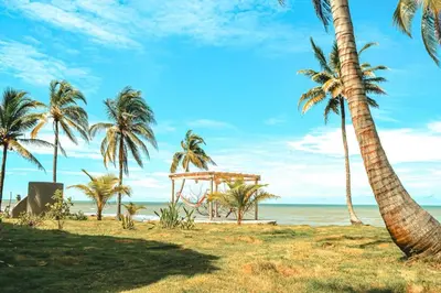 a beach with palm trees and a gazebo at Sarao Mar in Moñitos