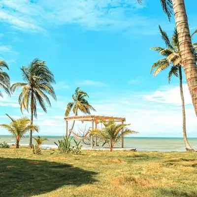Sarao Mar