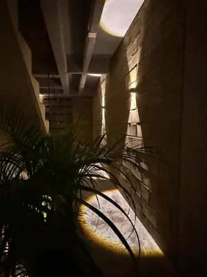 a plant in a hallway with a brick wall at Aira Hotel in Coveñas