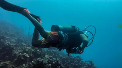 a person in a diving gear swimming in the ocean at Catamaran in Cartagena Bay in Cartagena de Indias