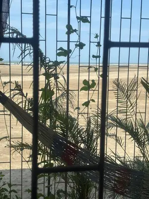 a view of a beach from a window with a plant at Hostel cartagena in Cartagena de Indias