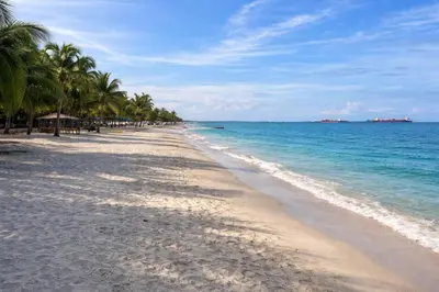 a sandy beach with palm trees and the ocean at Apto nuevo Frente al Mar con Piscina Wifi cerca aeropuerto in Santa Marta