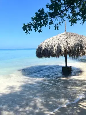 a straw umbrella on a beach with the ocean at La Dolce Villa! in El Mamey