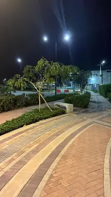 a tree in a park at night with lights at Apartamento Hermoso en Manzanillo del Mar Cartagena in Cartagena de Indias